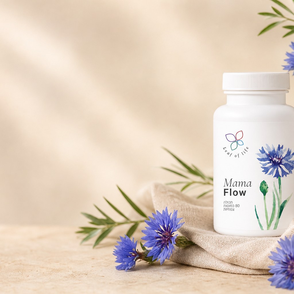 Mama Flow — לתמיכה בהגברת חלב אם וחיזוק גוף האישה